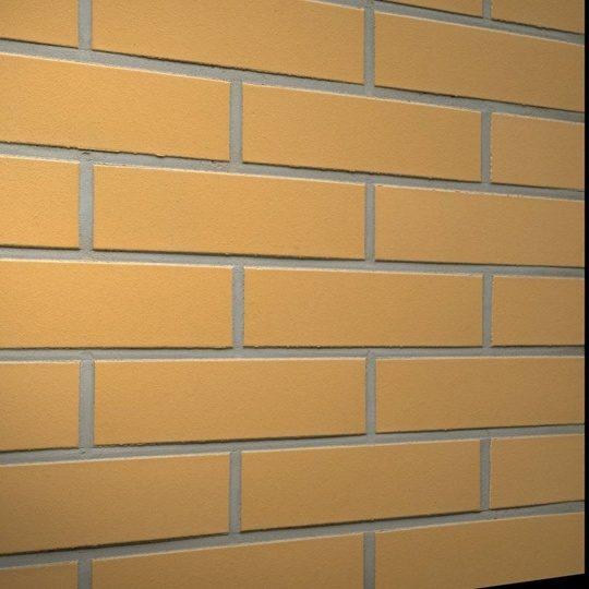 Клинкерная плитка Feldhaus Klinker R200NF9 amari liso